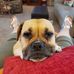 Debbie Wooldridge - Facebook