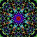 Debra Worth - @deborann - Instagram