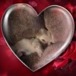 Deborah Yarbrough - @deborah_yarbrough - Instagram
