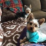 Debra Ebert-yeager - @ebertyeager - Instagram