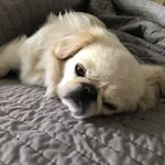 Debra Wall Yeager - @debrawallyeager - Instagram