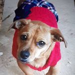 Debra Yeager - @debra.yeager.14 - Instagram