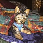 Debra Yeager - @debra.yeager.35 - Instagram
