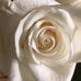 Deb Youngberg - Facebook
