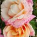 Debra L Youngberg - Facebook