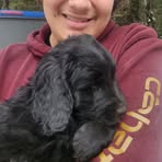 Declan Bailey - Facebook