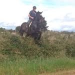 Declan Barrett - @declanbarrett34 - Instagram