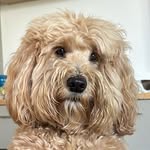 Declan Burke - @duckyburke2022 - Instagram