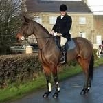 Declan Carroll - @declancarroll48 - Instagram