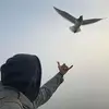 Declan Carroll - @declor - TikTok