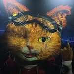 Declan Casey - @declancasey2015 - Instagram