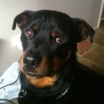 Declan Coleman - @adventuresofdeclanandjed - Instagram