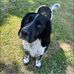 Declan Connolly - Facebook