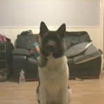 Declan connor - @declan2166 - Instagram