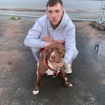 Declan Connor - @declanconnor2 - Instagram