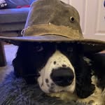 Declan Cronin - @declan_1511 - Instagram