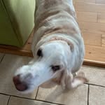 Declan Crowley - @declan3966 - Instagram