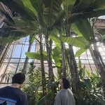 Declan Crowley - @dcrowley.5 - Instagram