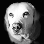 Declan Cummings - Facebook