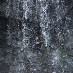 Declan Cunningham - @declan.x.cunningham - Instagram