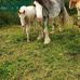 Declan Daly - Facebook