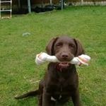 Declan Daly - @declan.daly.338 - Instagram