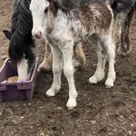 Declan Daly - @declan.daly.12720 - Instagram