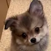 Declan Dean - @declan.dean297 - TikTok