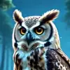 Declan Dean - @declan.dean52 - TikTok