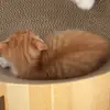 Declan Dean - @declan.dean90 - TikTok