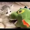 Declan Dean - @declan.dean146 - TikTok