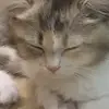 Declan Dean - @declan.dean69 - TikTok