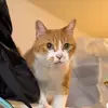 GGpooe - @declan.dean57 - TikTok