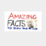 Declandocherty - @dailyyouknowhatfacts - Instagram