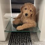 Declan English - Facebook
