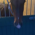 Declan Ennis - Facebook