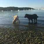 Adventures Of Declan & Finn - @adventuresofdeclanandfinn - Instagram