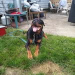 Declan James Finn - @declan.j.finn - Instagram