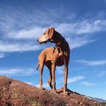 Declan Flanagan - @beebee.the.queen - Instagram