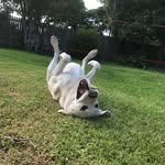 @declan._.ford - Instagram