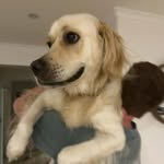 @declan__ford - Instagram