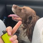 Declan Ford - Facebook