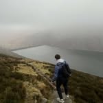 Declan Mc Gill - @declanmcgill_ - Instagram