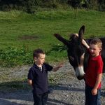 Declan Glynn - @declan.glynn.14 - Instagram