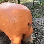 Declan Gordon - @declangordon02 - Instagram