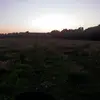 declan.gordon175 - @declan.priv156 - TikTok