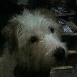 DECDEC - @declangregory1 - Instagram