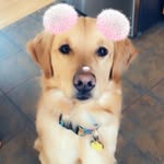 Declan Harding - @declan._.harding - Instagram