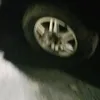 declan harding - @declan.harding7 - TikTok