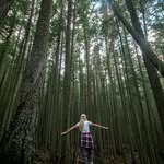 Declan Harris - @declanharris71 - Instagram